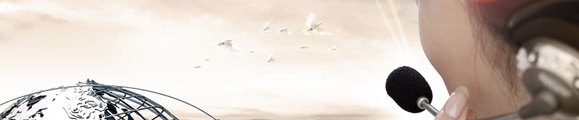 ��ϵ����